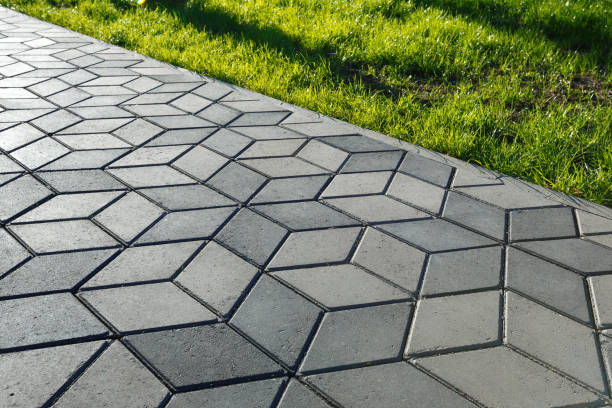 Best Decorative Driveway Pavers  in San Antonio, FL