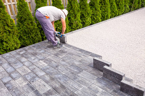 Best Driveway Paving Near Me  in San Antonio, FL
